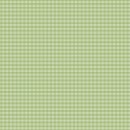Micro Gingham Col. 108